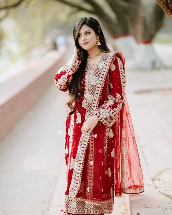 Pakistani Inspired Gorgeous Ready Party Collection